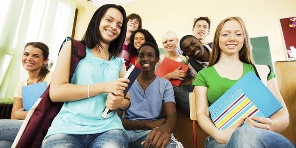 Les « emplois francs »: une aide ciblant uniquement les entreprises du secteur marchand