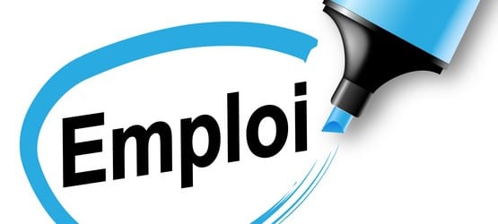 Nouvelles aides à l’embauche pour les entreprises dès 2014 ?